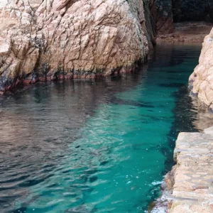 Swim&Coach Experiences Escuela de Vida