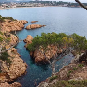 Swim&Coach Experiences Findes